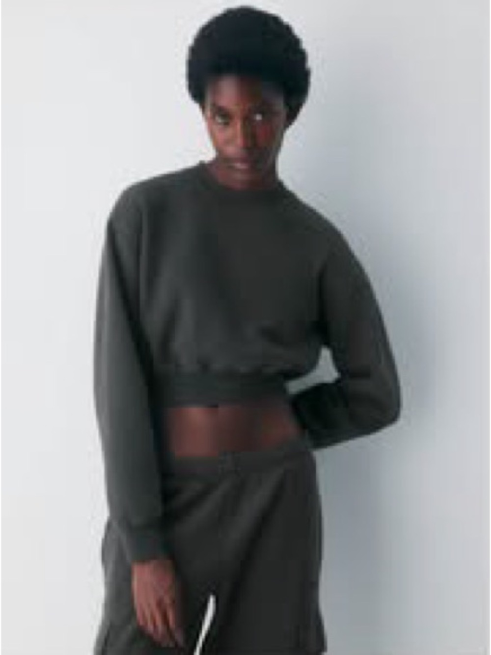Aritzia - NWT - Cozy Sweatfleece Perfect Crew Crop Sweatshirt